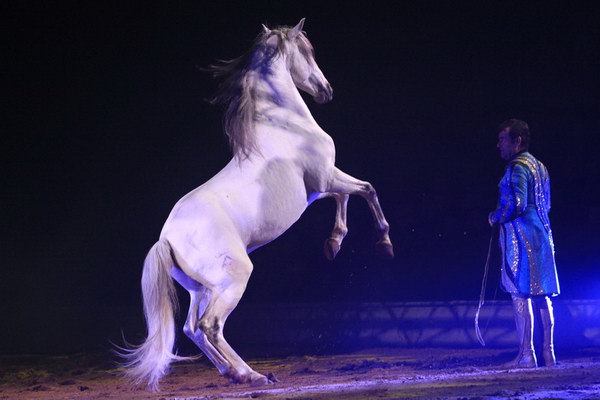 Apassionata_2014    008.jpg
